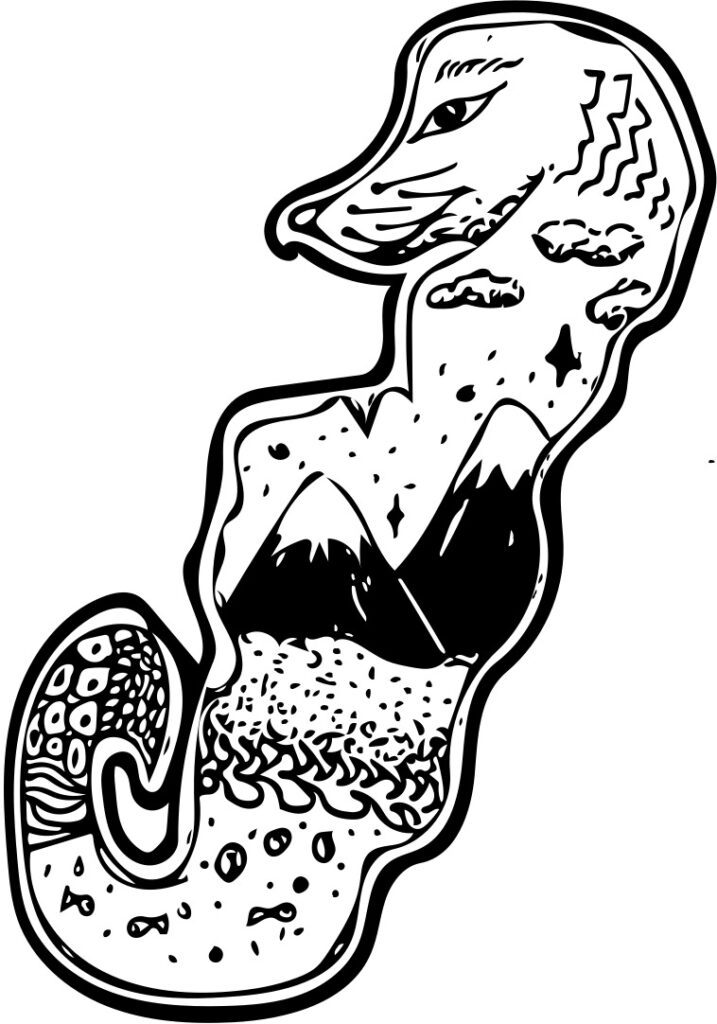 Imagen de una ilustración a lápiz de la colección de ilustraciones de la colección En las Nubes