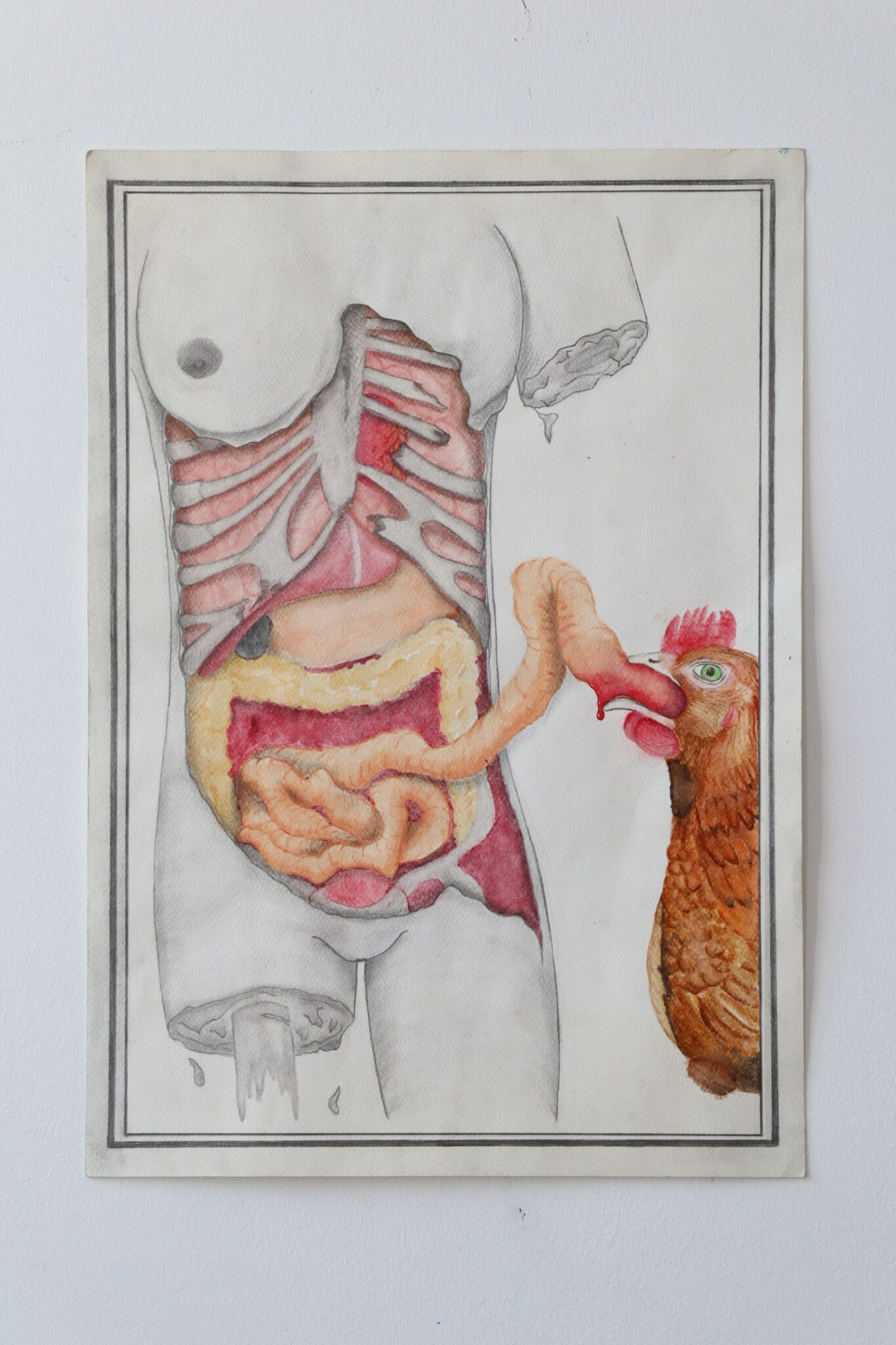 2017, Lápiz y acuarelas sobre papel, 70,0 x 50,0 cm.