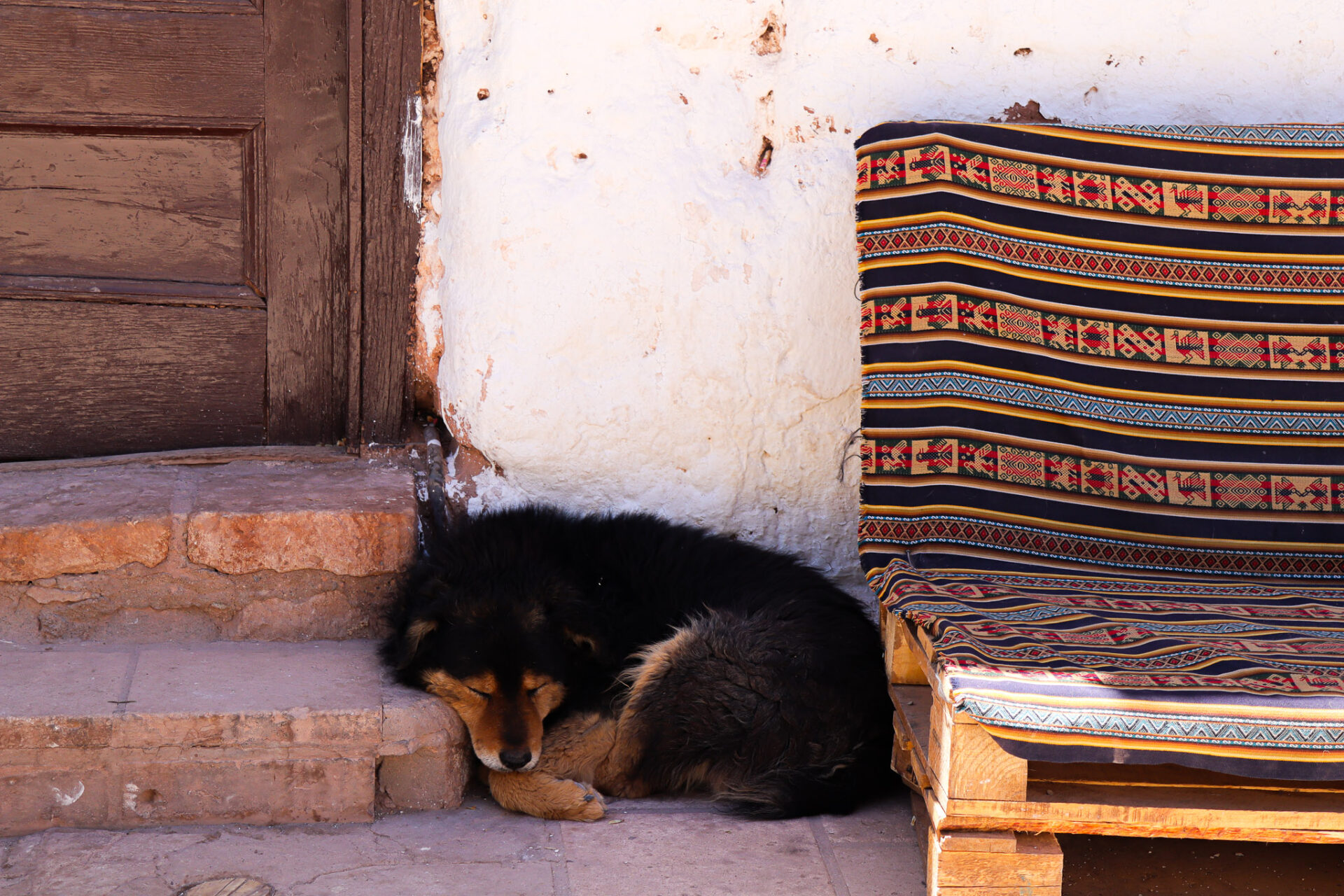 San Pedro de Atacama, Atacama, Chile. 2024
