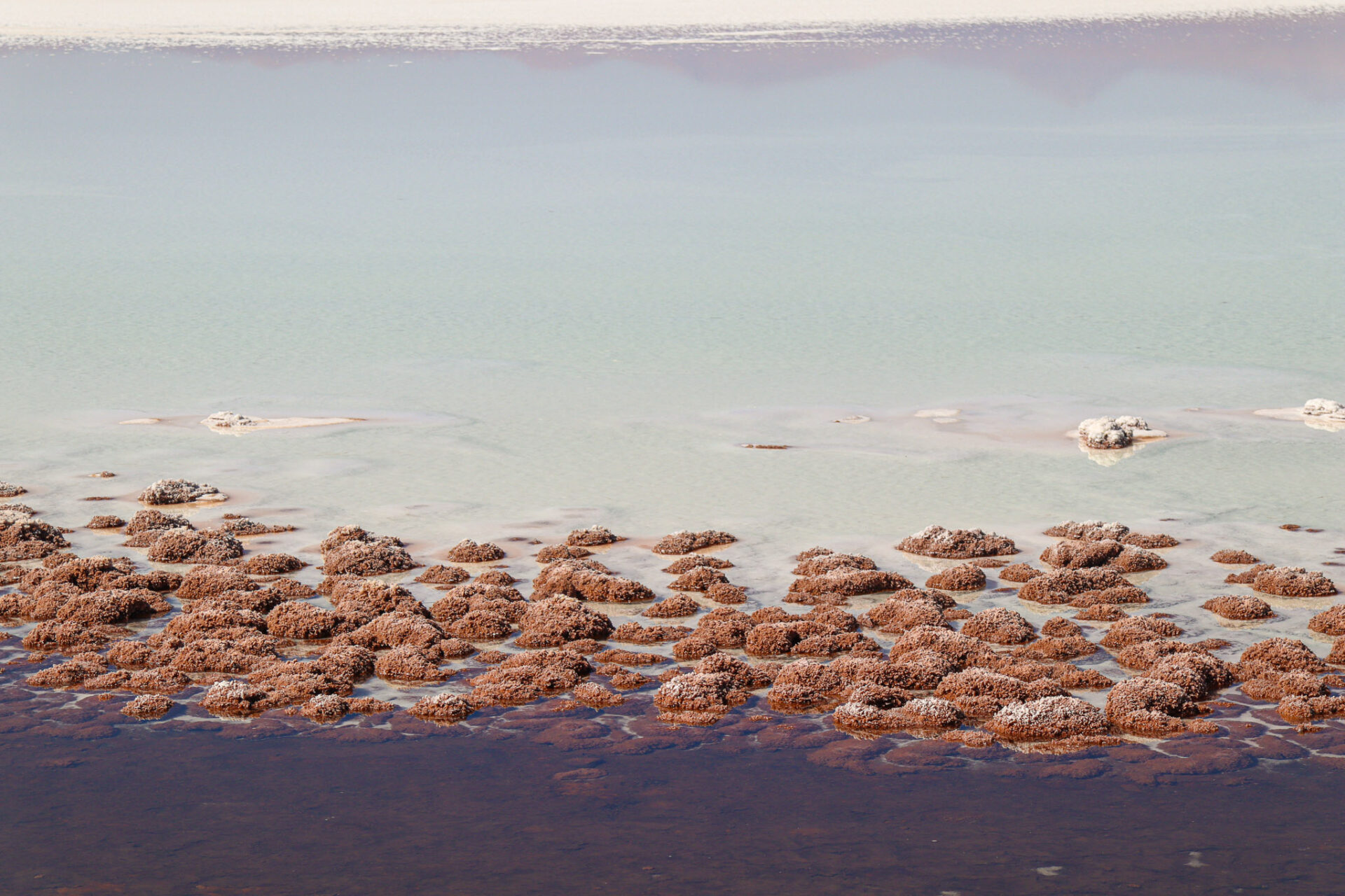 Laguna Tebinquiche, Atacama, Chile. 2024