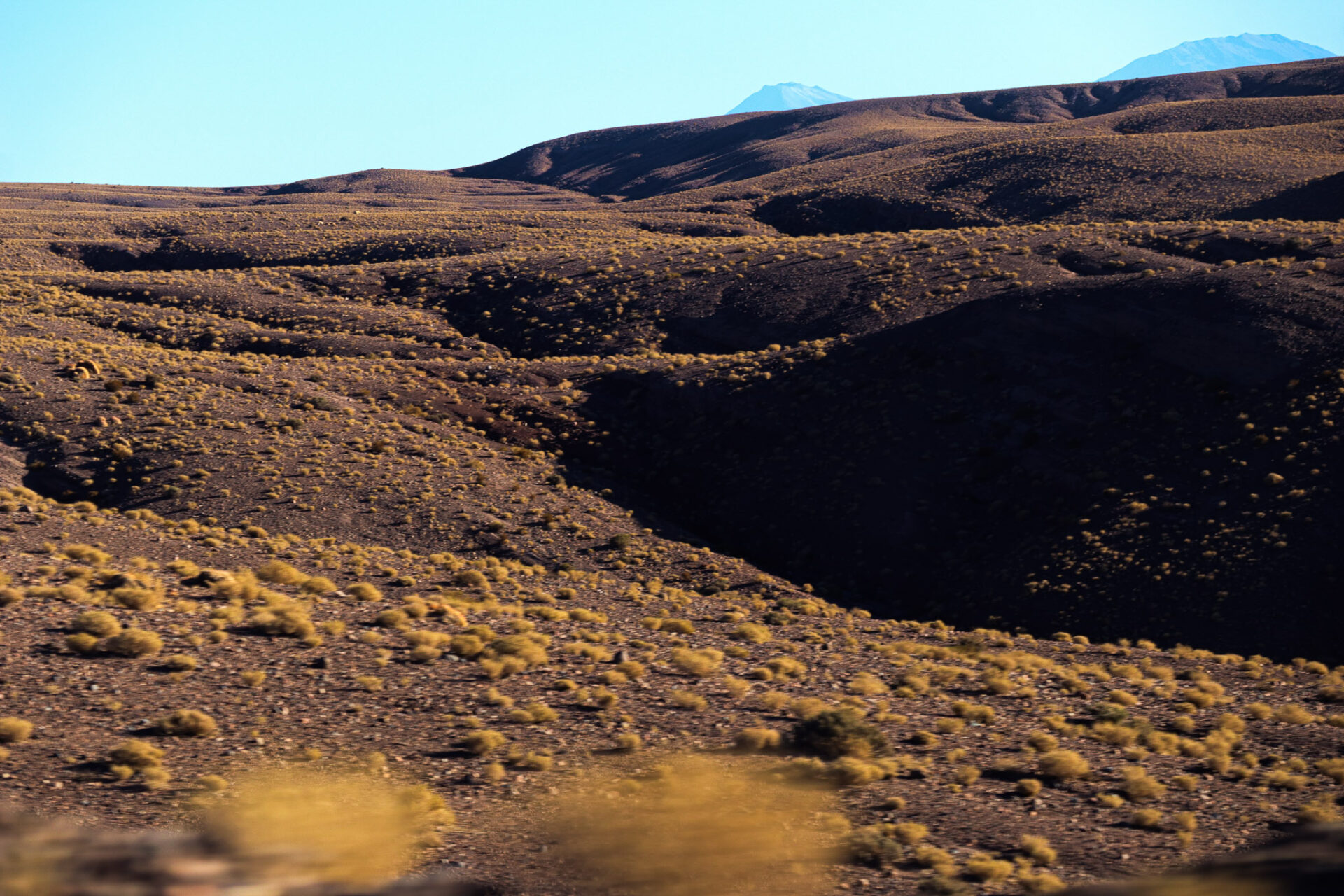 San Pedro Atacama, Chile. 2024