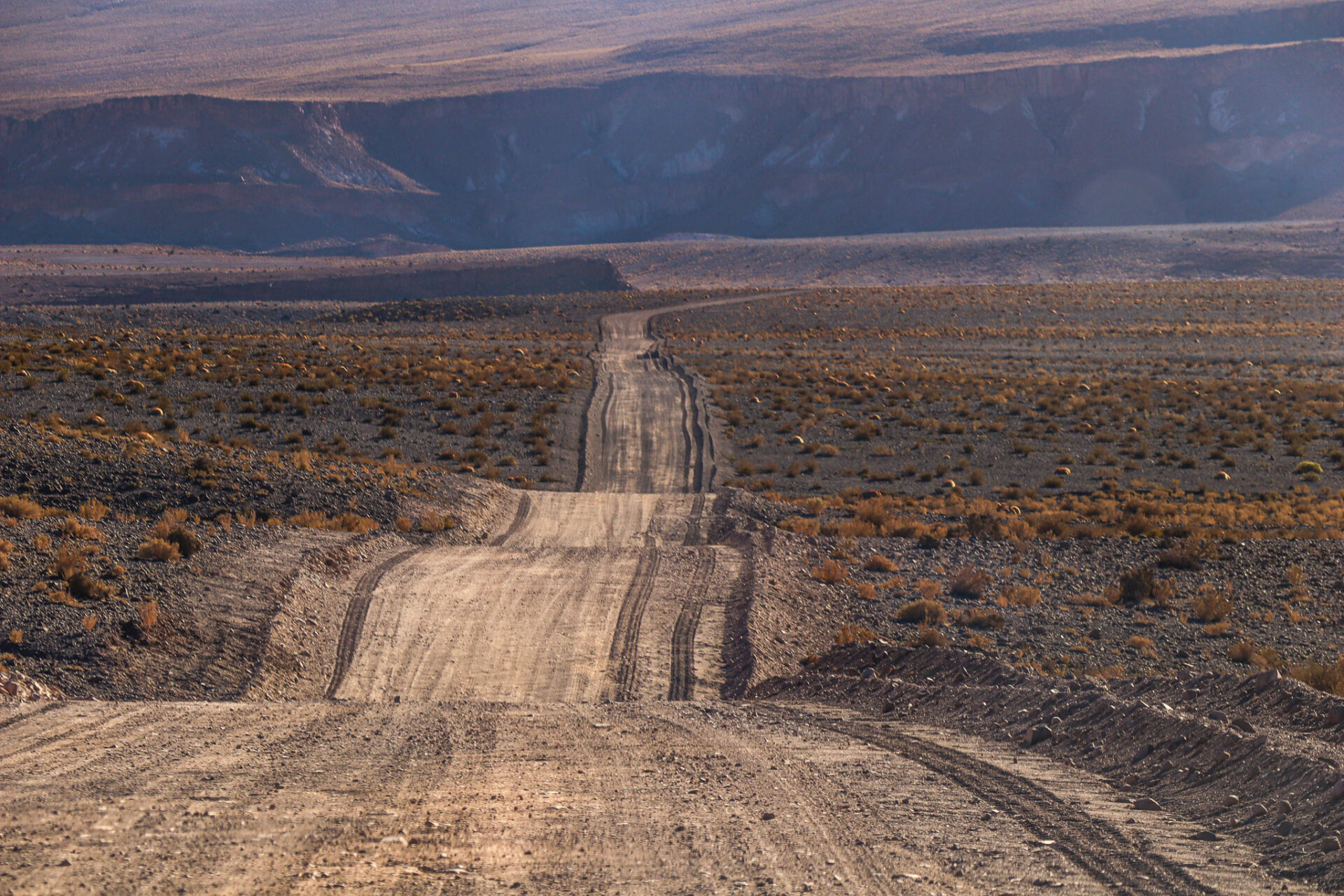 San Pedro Atacama, Chile. 2024