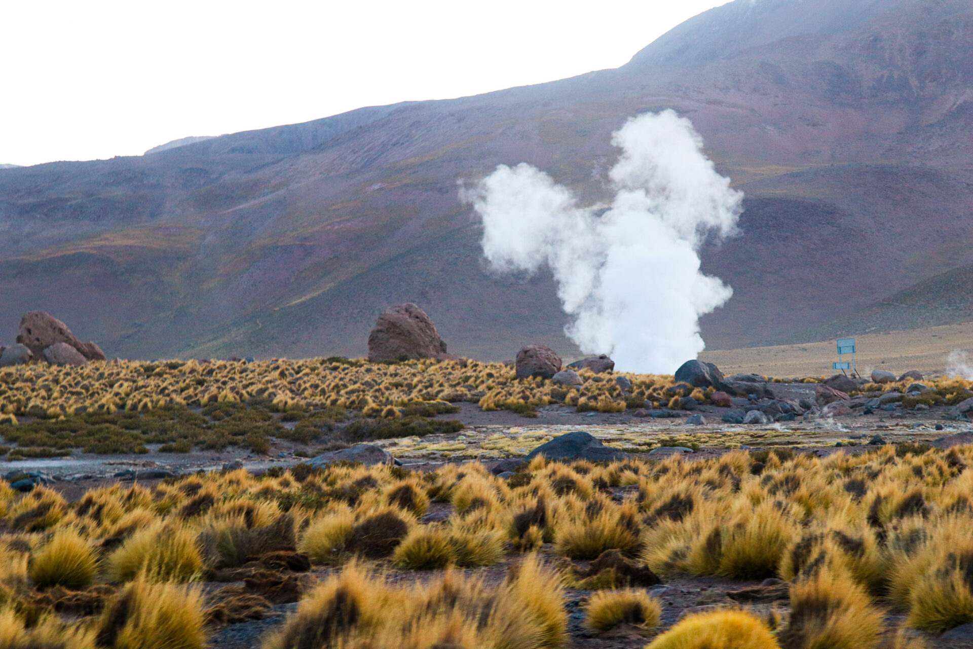 Geysers del Tatio, Atacama, Chile. 2024