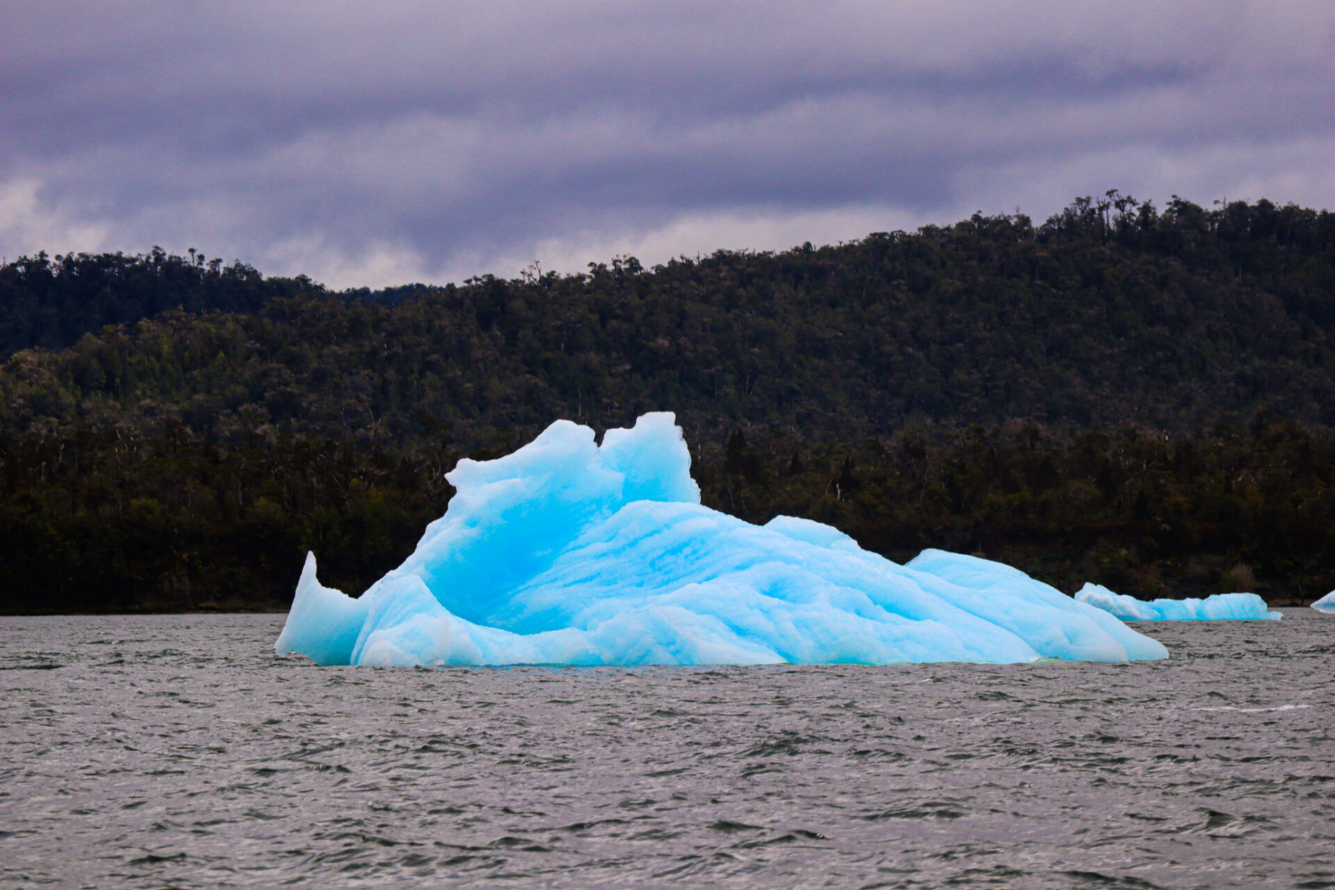 Parque Nacional Laguna San Rafael, Chile. 2024