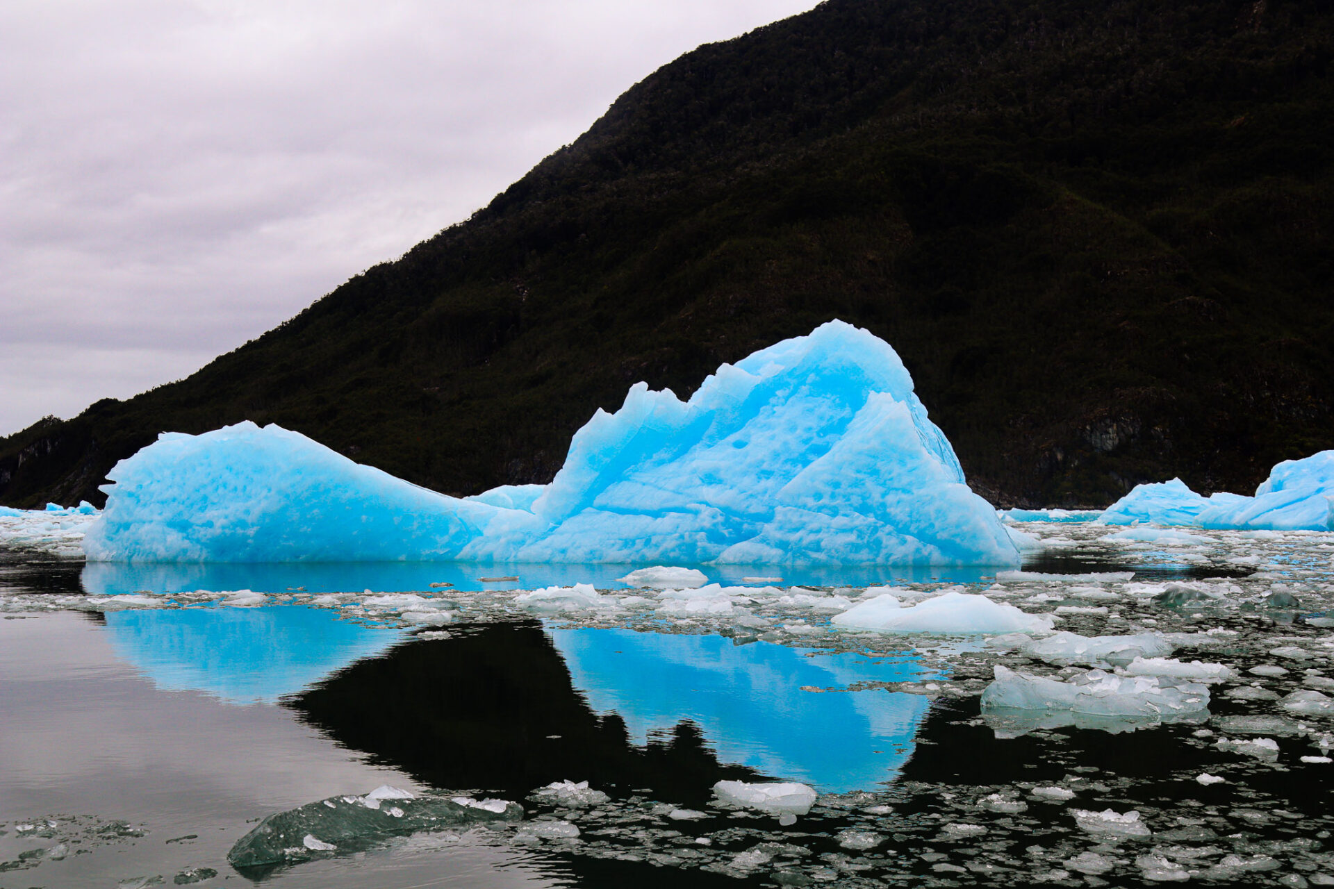Parque Nacional Laguna San Rafael, Chile. 2024
