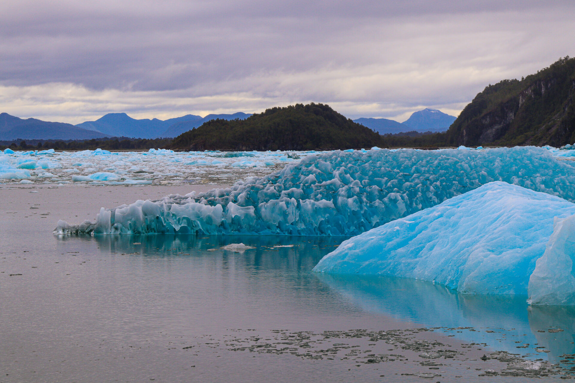 Parque Nacional Laguna San Rafael, Chile. 2024