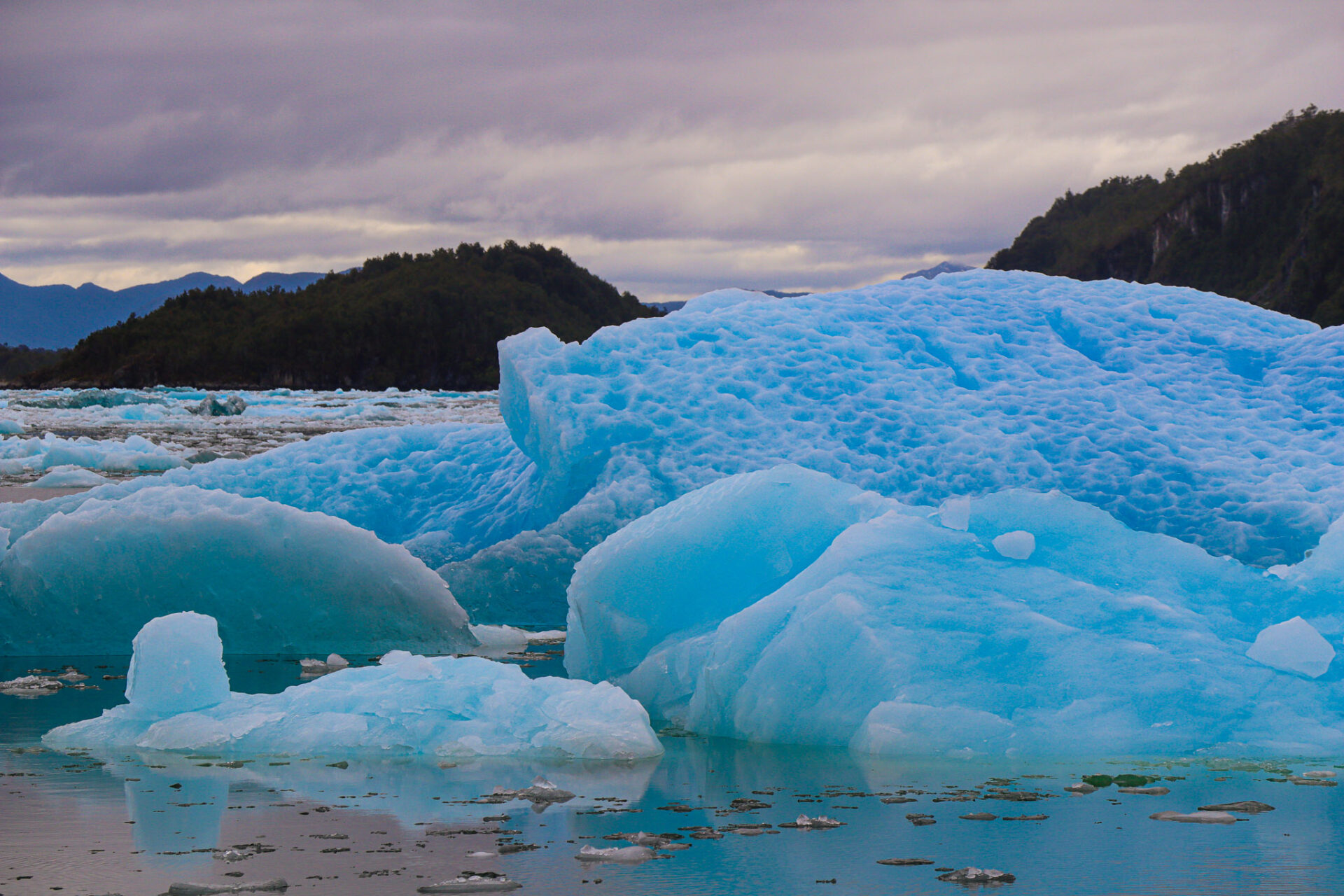 Parque Nacional Laguna San Rafael, Chile. 2024
