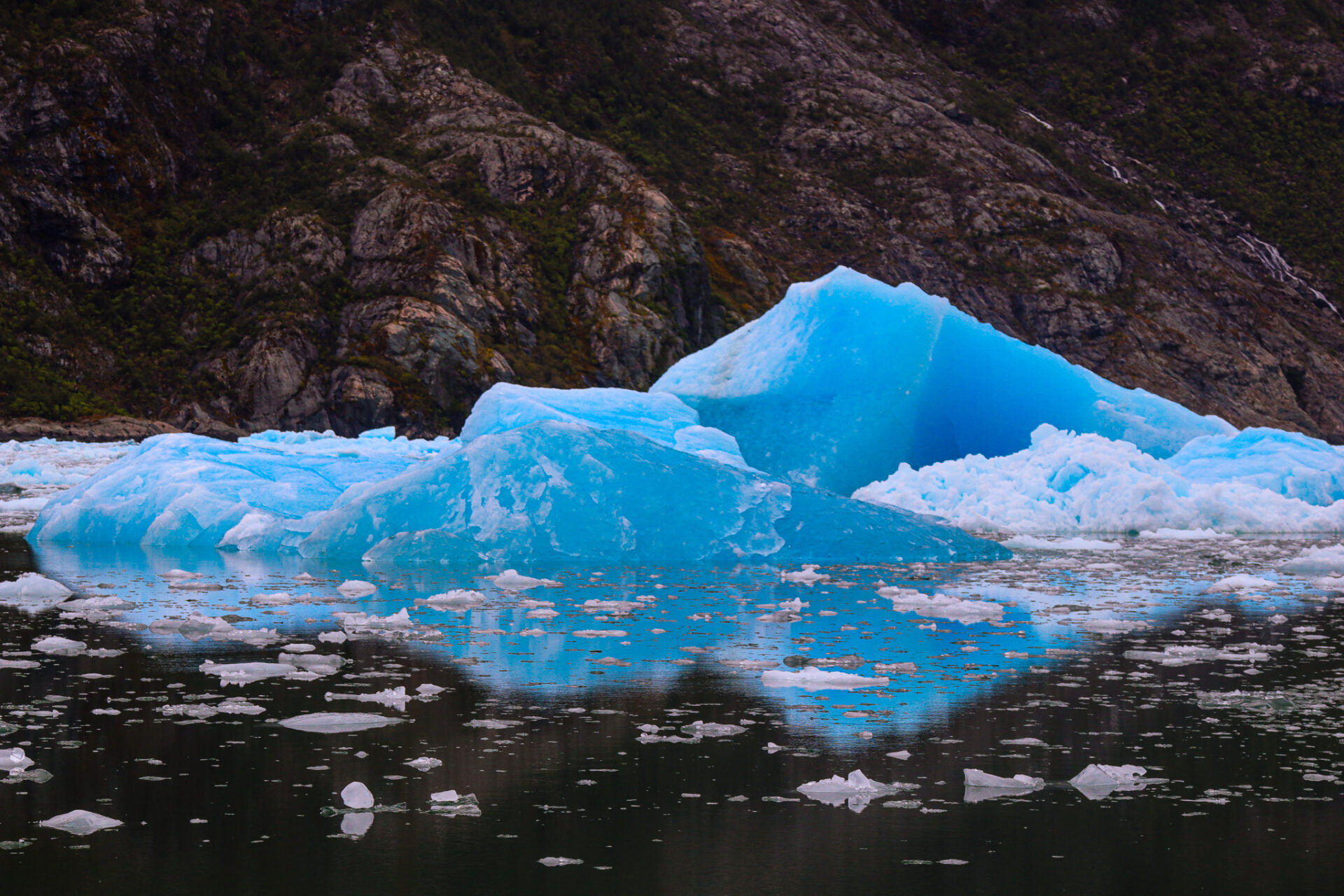 Parque Nacional Laguna San Rafael, Chile. 2024