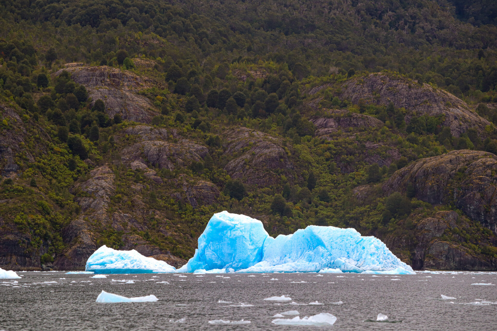 Parque Nacional Laguna San Rafael, Chile. 2024